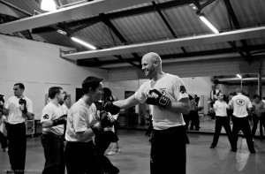 Training en musique 2013