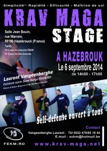 affiche stage petite violet