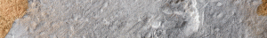 cropped-concrete_background.gif