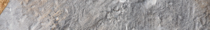 cropped-concrete_background.jpg.png